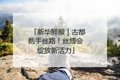 新华鲜报｜古都携手丝路！丝博会绽放新活力