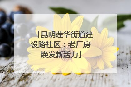 昆明莲华街道建设路社区：老厂房焕发新活力