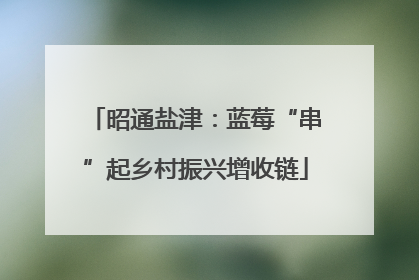 昭通盐津：蓝莓“串”起乡村振兴增收链