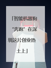 智能机器狗“奔跑”在深圳这片创业热土上