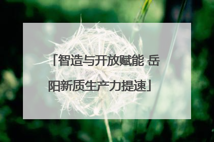 智造与开放赋能 岳阳新质生产力提速