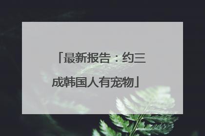 最新报告：约三成韩国人有宠物