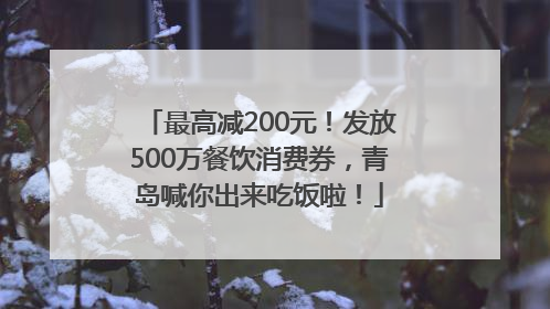 最高减200元！发放500万餐饮消费券，青岛喊你出来吃饭啦！