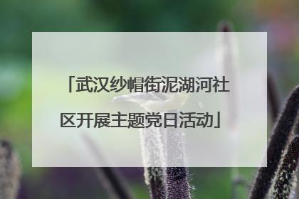 武汉纱帽街泥湖河社区开展主题党日活动