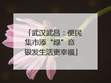 武汉武昌：便民集市添“绿”意 银发生活更幸福