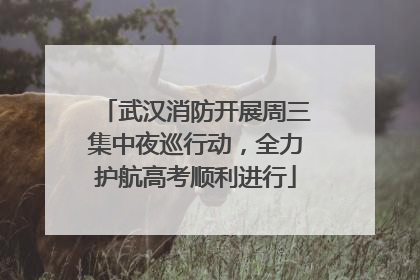 武汉消防开展周三集中夜巡行动，全力护航高考顺利进行
