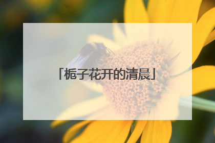 栀子花开的清晨