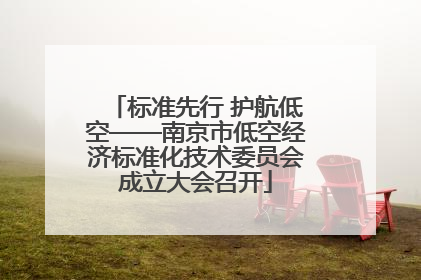 标准先行 护航低空——南京市低空经济标准化技术委员会成立大会召开