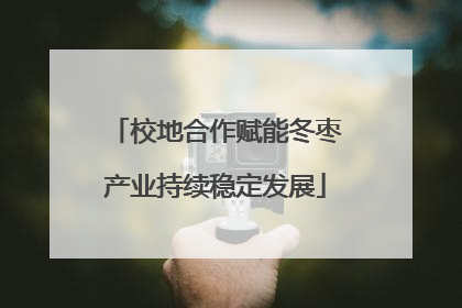 校地合作赋能冬枣产业持续稳定发展