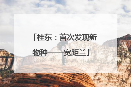 桂东：首次发现新物种——宽距兰