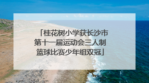桂花树小学获长沙市第十一届运动会三人制篮球比赛少年组双冠