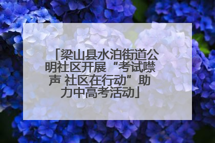 梁山县水泊街道公明社区开展“考试噤声 社区在行动”助力中高考活动