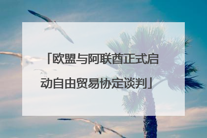 欧盟与阿联酋正式启动自由贸易协定谈判