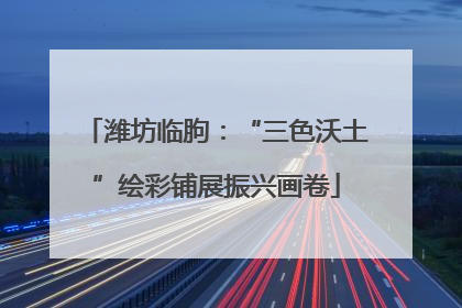潍坊临朐：“三色沃土”绘彩铺展振兴画卷