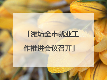 潍坊全市就业工作推进会议召开