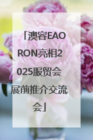 澳容EAORON亮相2025服贸会展前推介交流会
