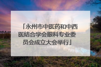 永州市中医药和中西医结合学会眼科专业委员会成立大会举行
