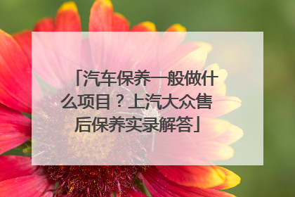 汽车保养一般做什么项目？上汽大众售后保养实录解答