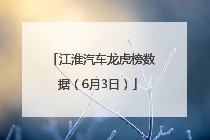 江淮汽车龙虎榜数据（6月3日）