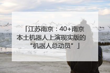江苏南京：40+南京本土机器人上演现实版的“机器人总动员”