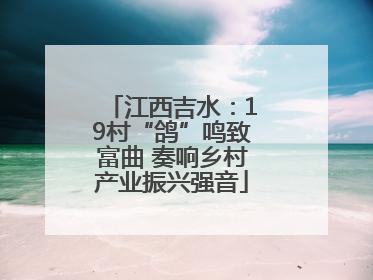 江西吉水：19村“鸽”鸣致富曲 奏响乡村产业振兴强音