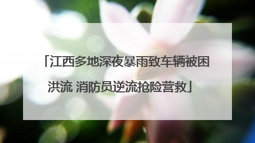 江西多地深夜暴雨致车辆被困洪流 消防员逆流抢险营救