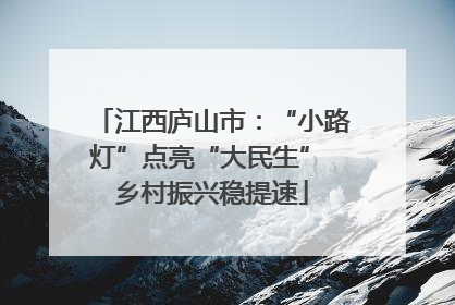 江西庐山市：“小路灯”点亮“大民生” 乡村振兴稳提速