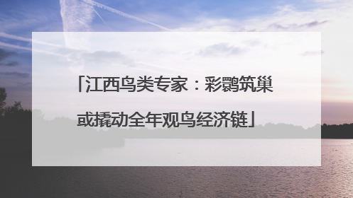 江西鸟类专家：彩鹮筑巢或撬动全年观鸟经济链