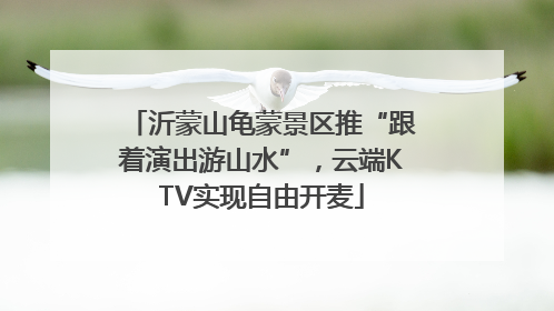 沂蒙山龟蒙景区推“跟着演出游山水”，云端KTV实现自由开麦