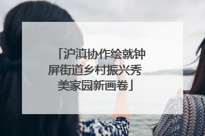 沪滇协作绘就钟屏街道乡村振兴秀美家园新画卷