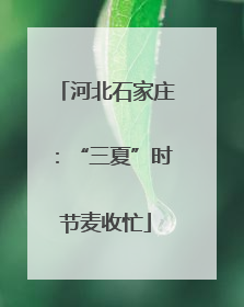 河北石家庄：“三夏”时节麦收忙
