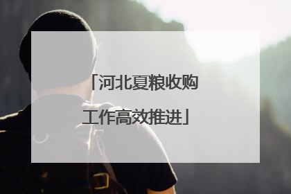 河北夏粮收购工作高效推进