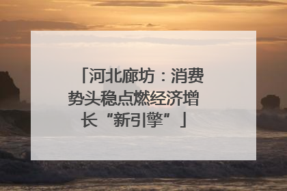 河北廊坊：消费势头稳点燃经济增长“新引擎”