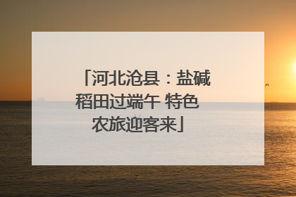河北沧县：盐碱稻田过端午 特色农旅迎客来