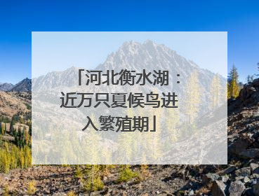 河北衡水湖：近万只夏候鸟进入繁殖期
