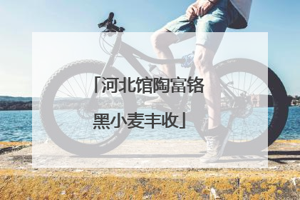 河北馆陶富铬黑小麦丰收