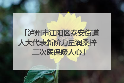 泸州市江阳区泰安街道人大代表新阶力量润桑梓 二次医保暖人心
