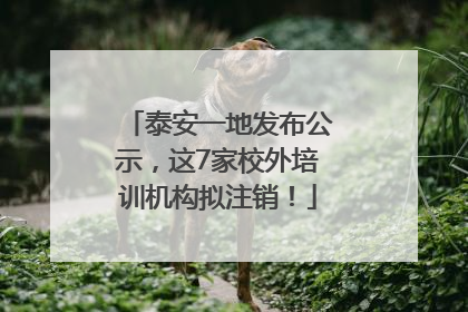 泰安一地发布公示，这7家校外培训机构拟注销！