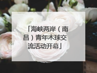海峡两岸（南昌）青年木球交流活动开幕