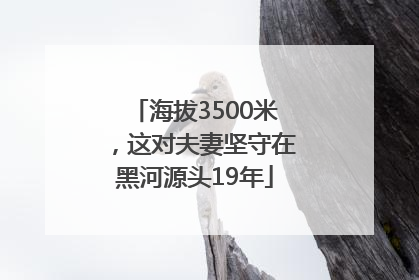海拔3500米，这对夫妻坚守在黑河源头19年