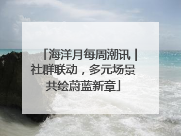 海洋月每周潮讯｜社群联动，多元场景共绘蔚蓝新章