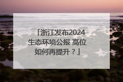 浙江发布2024生态环境公报 高位如何再提升？