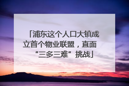 浦东这个人口大镇成立首个物业联盟，直面“三多三难”挑战