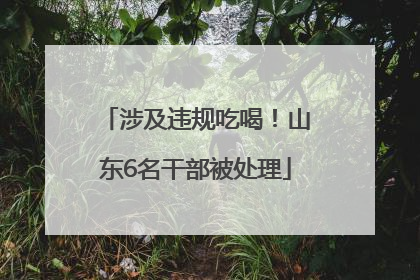 涉及违规吃喝！山东6名干部被处理