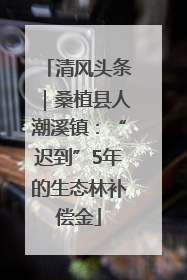 清风头条｜桑植县人潮溪镇：“迟到”5年的生态林补偿金