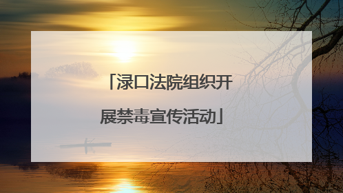 渌口法院组织开展禁毒宣传活动