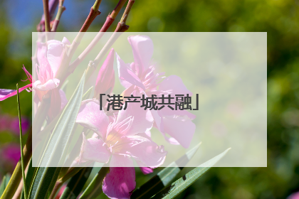 港产城共融
