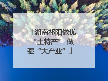 湖南祁阳做优“土特产” 做强“大产业”