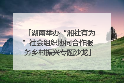 湖南举办“湘社有为”社会组织协同合作服务乡村振兴专题沙龙