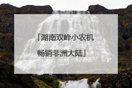 湖南双峰小农机畅销非洲大陆